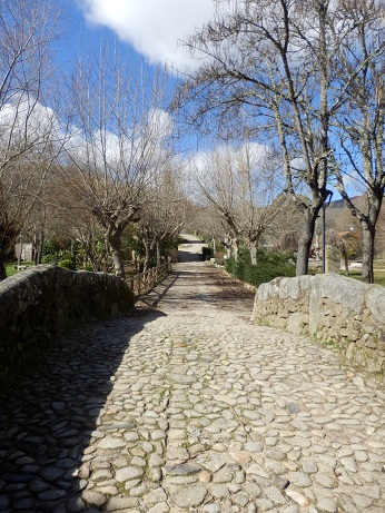 San Martín del Castañar